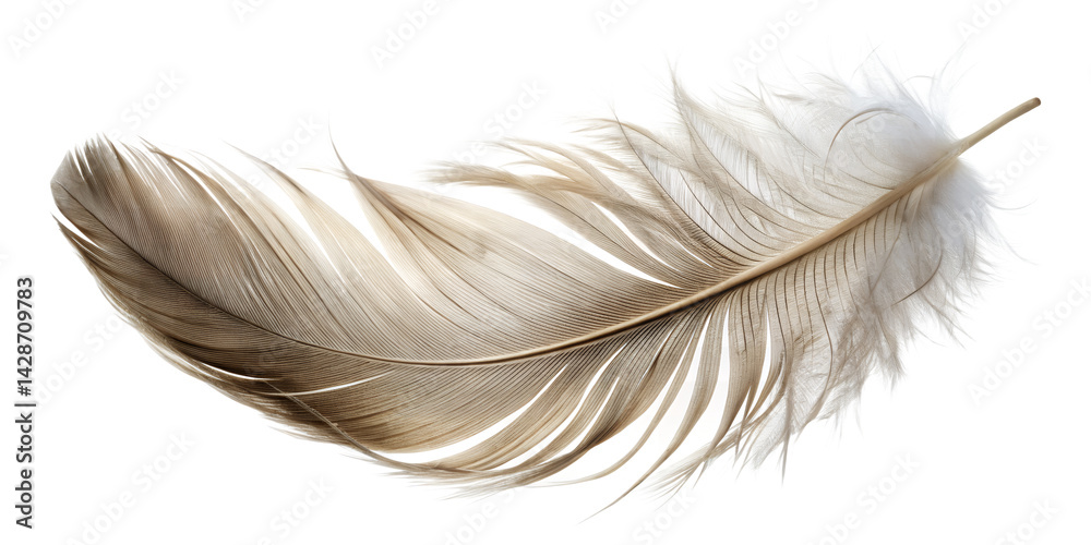 Obraz premium Floating Feather: A close-up of a delicate feather, light and airy, captures a sense of gentle movement and freedom. A symbol of lightness and purity.