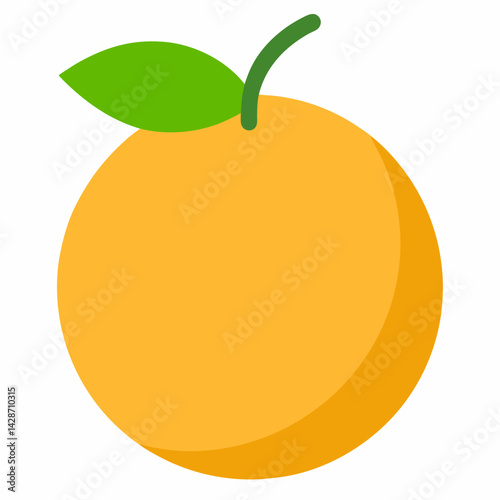 vector illustration of an orange fruit