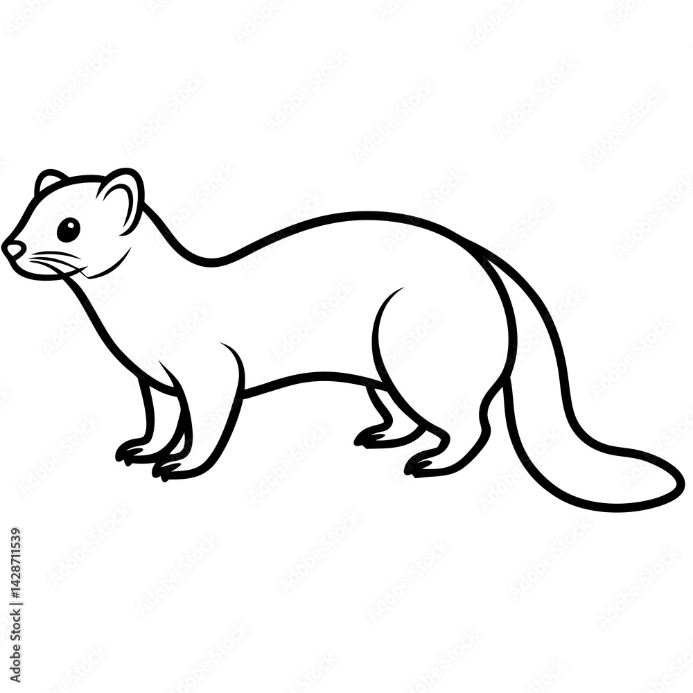 Clean & Simple Ferret Outline Illustration Clean & Simple Ferret Outline Illustration