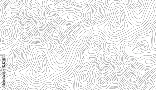 A topographic map showing varying elevations of land delineated by contour lines