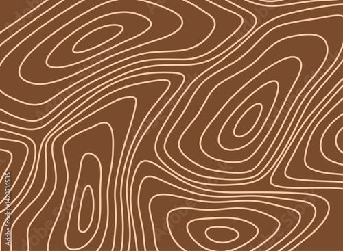 Earths contours A textured topographic map