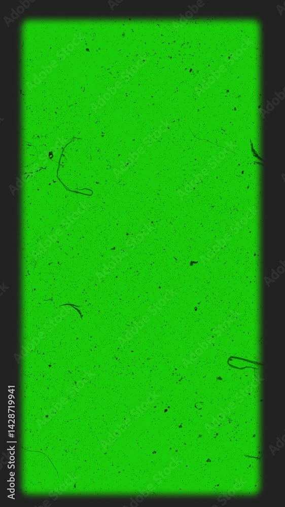 Old movie screatched surface texture, grain film noise, old vintage effect, vertical video, green screen,dust grunge textured vintage noise green screen, vertical video	