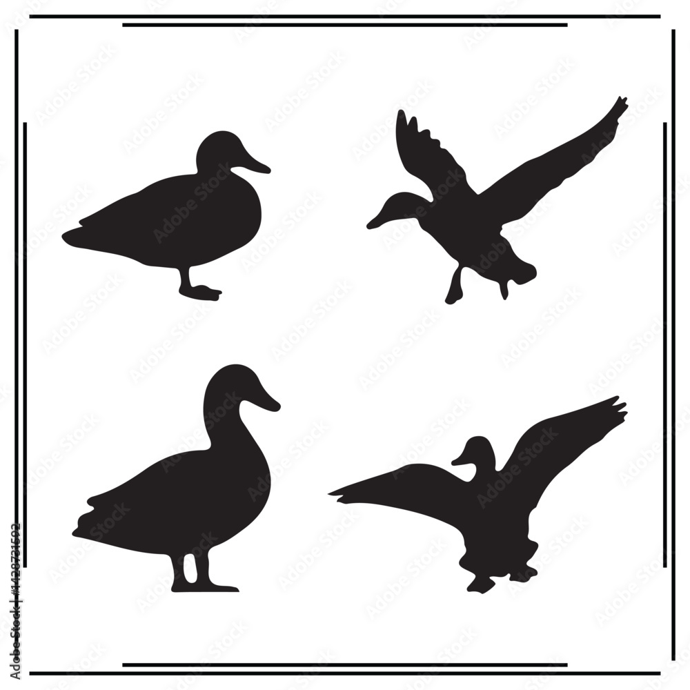 Obraz premium Duck silhouette, Duck illustration , Duck clipart, Duck vector , Duck icon , black Duck , Duck illustration on white background, Duck vector illustration ,