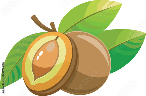 A vibrant vector art illustration of a delicious sapodilla fruit, showcasing its rich texture, juicy interior, and tropical appeal