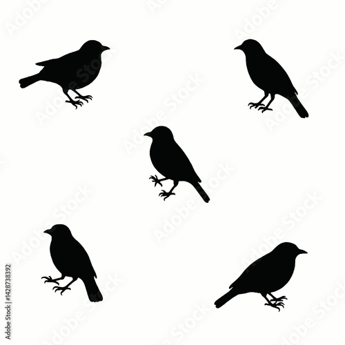 Wallpaper Mural Bird vector, perched, flying, white background, design. illustration Torontodigital.ca