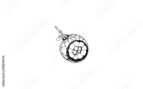 Araticum – AI-Illustrated Patterned Skin Fruit with Soft Segmented Interior