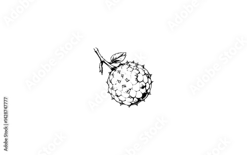 Arbutus Fruit – AI-Designed Bumpy Textured Round Fruit with Spine Detail