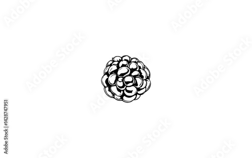 Arctic Raspberry – AI-Detailed Drawing of Compact Berry with Tiny Drupelets