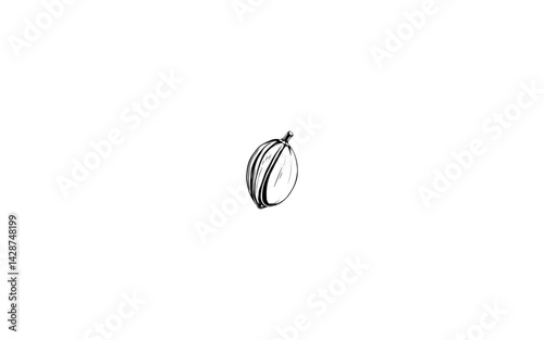 Areca Nut Fruit – AI-Styled Nut Illustration with Hard Exterior Shell