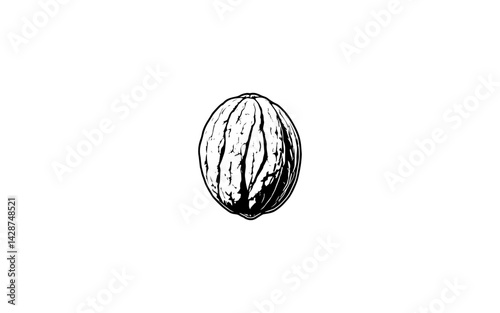 Arizona Walnut Fruit – AI-Inspired Hard-Shelled Nut with Natural Texture