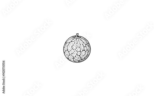  Australian Round Lime – AI-Rendered Spherical Citrus with Dimpled Skin and Defined Stem