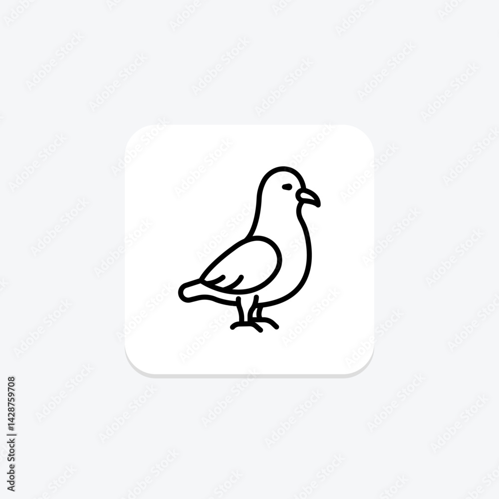 Obraz premium Fulmar, vector, pixel perfect, illustrator file