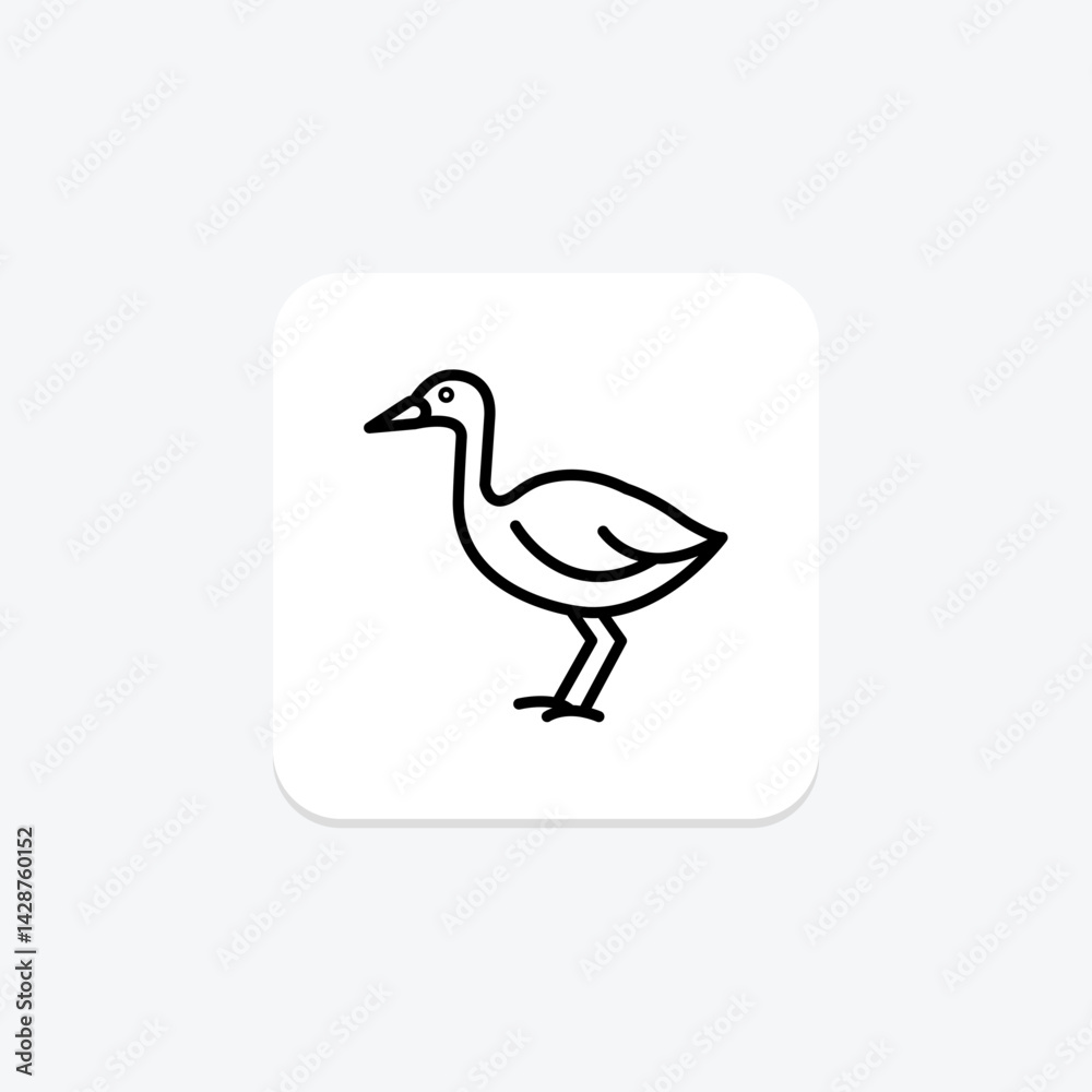 Swamphen, vector, pixel perfect, illustrator file Swamphen, vector, pixel perfect, illustrator file
