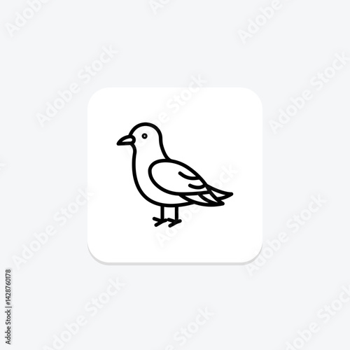 Kittiwake, vector, pixel perfect, illustrator file