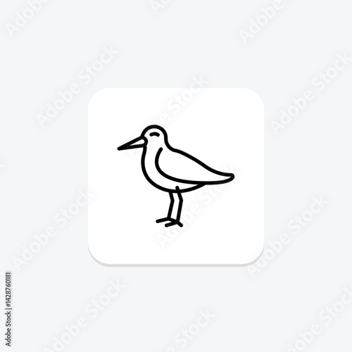 Oystercatcher, vector, pixel perfect, illustrator file