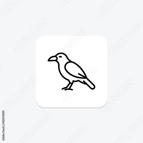 Chough, vector, pixel perfect, illustrator file