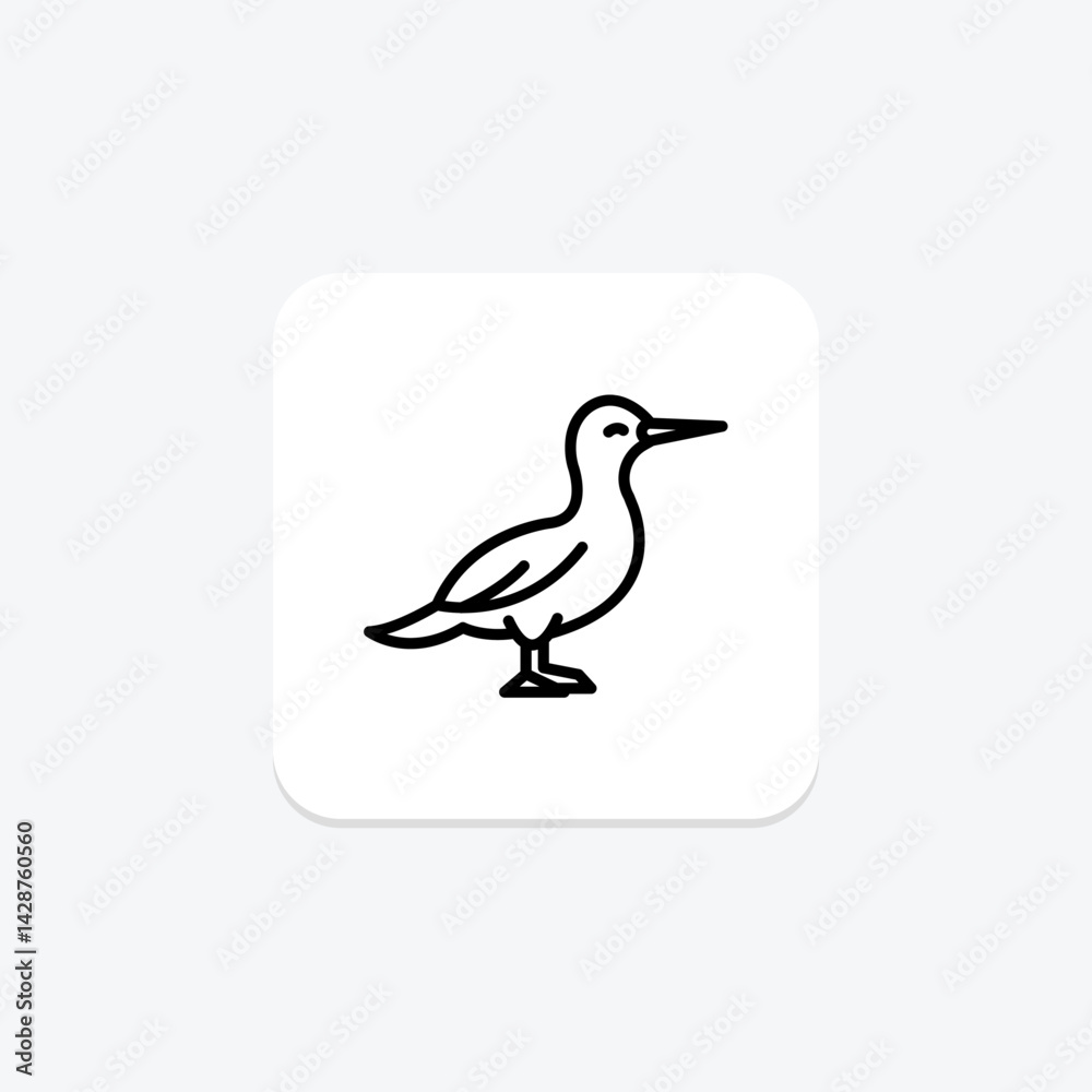 Obraz premium Gannet, vector, pixel perfect, illustrator file