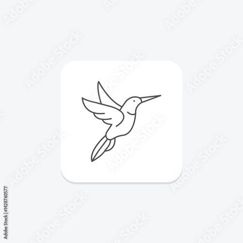 Hummingbird, vector, pixel perfect, illustrator file