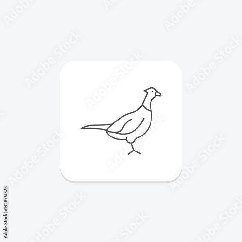 Pheasant, vector, pixel perfect, illustrator file
