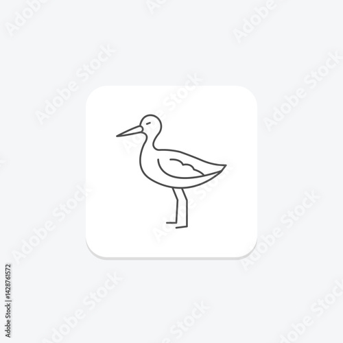 Avocet, vector, pixel perfect, illustrator file