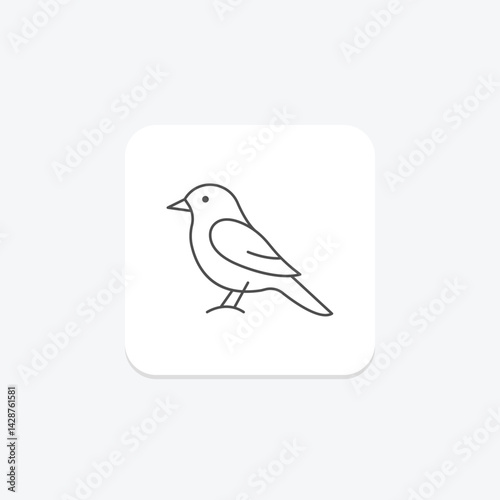 Kingbird, vector, pixel perfect, illustrator file