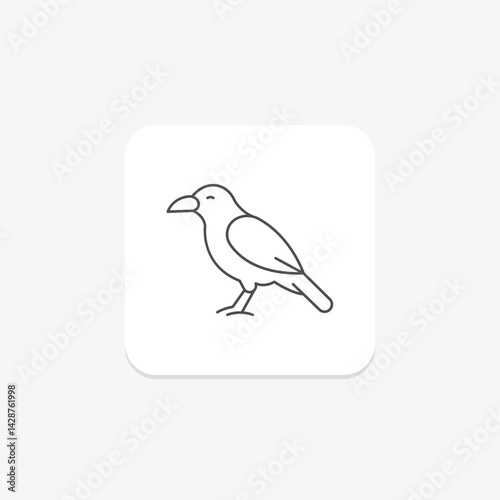 Chough, vector, pixel perfect, illustrator file