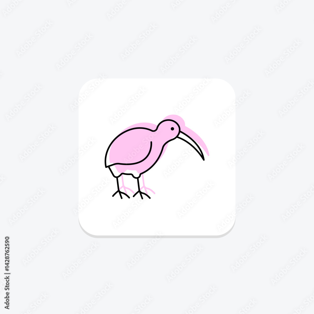 Obraz premium Kiwi, vector, pixel perfect, illustrator file
