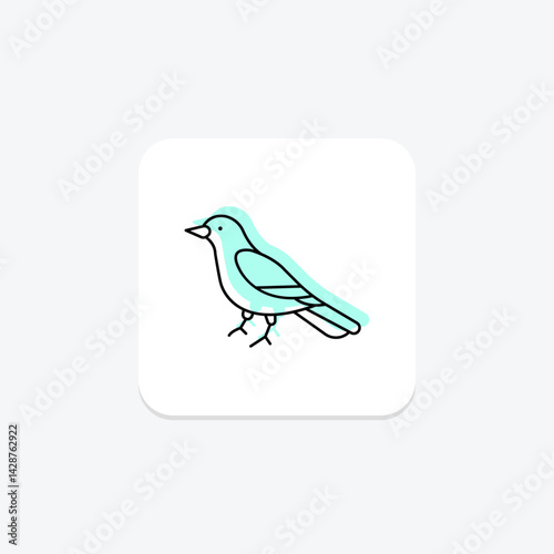 Magpie, vector, pixel perfect, illustrator file