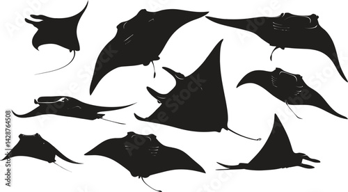 Silhouette illustration of a group of manta rays swimming in different directions on a white background