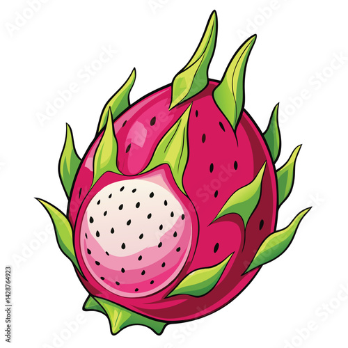 Dragon Fruit Illustration