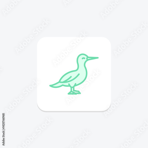 Gannet, vector, pixel perfect, illustrator file