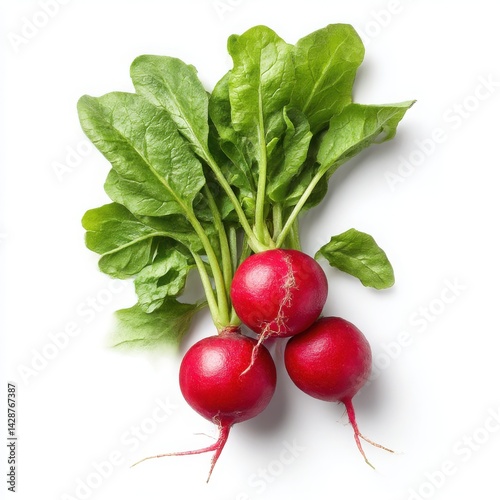 Three radishes with leaves isolated on white background