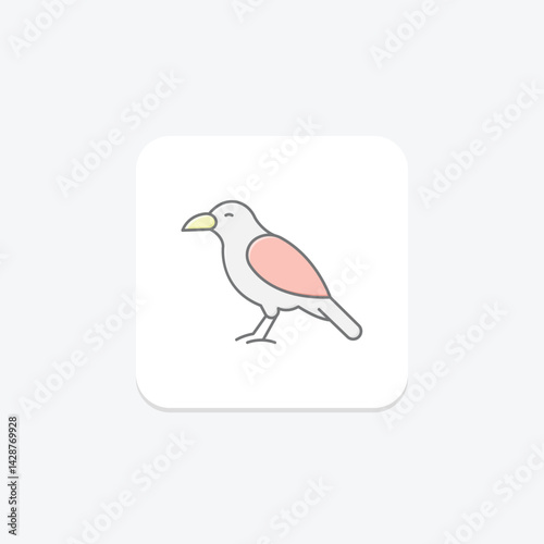 Chough, vector, pixel perfect, illustrator file