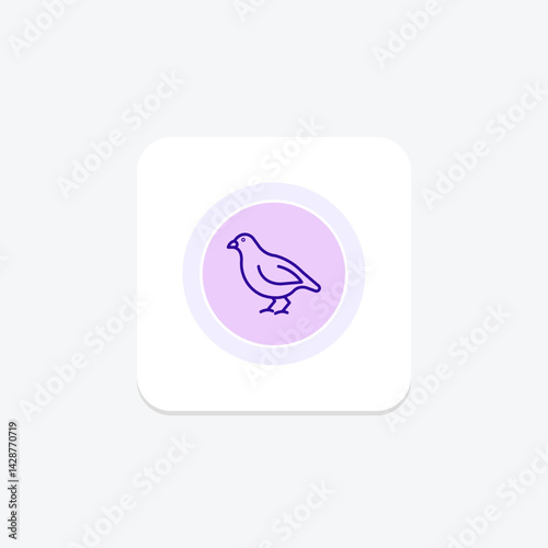 Quail, vector, pixel perfect, illustrator file