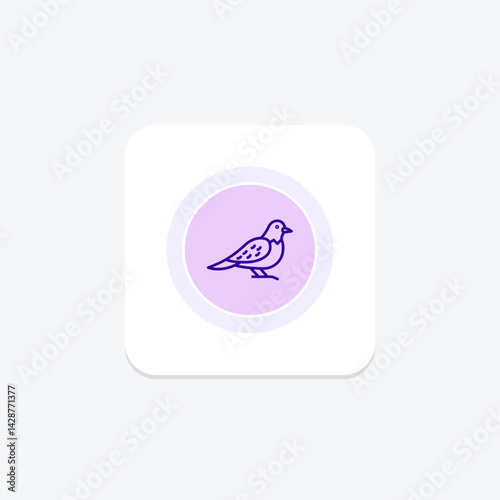 Nightjar, vector, pixel perfect, illustrator file