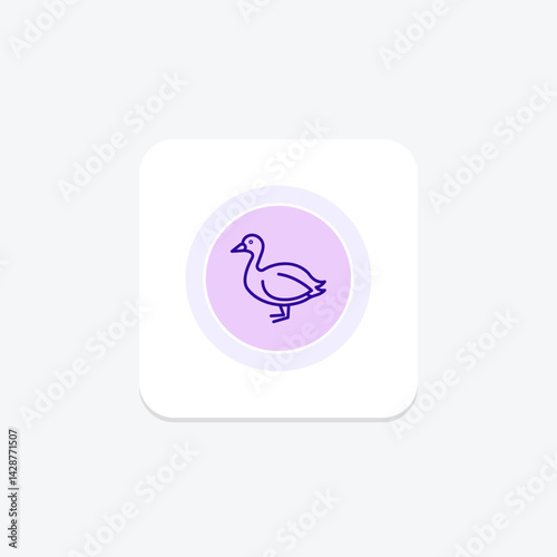 Coot, vector, pixel perfect, illustrator file