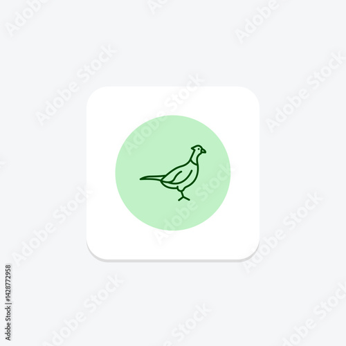 Pheasant, vector, pixel perfect, illustrator file