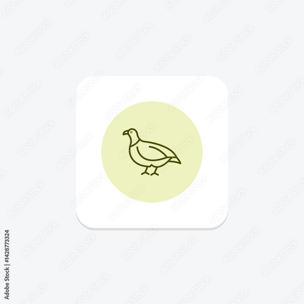Partridge, vector, pixel perfect, illustrator file Partridge, vector, pixel perfect, illustrator file