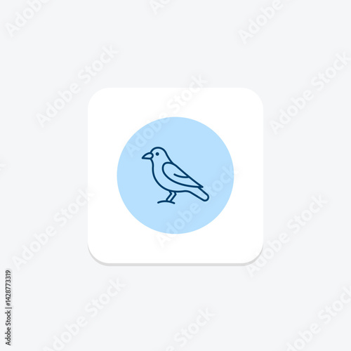 Jackdaw, vector, pixel perfect, illustrator file
