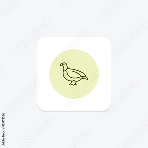 Partridge, vector, pixel perfect, illustrator file