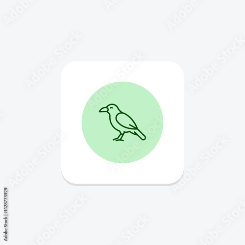 Chough, vector, pixel perfect, illustrator file