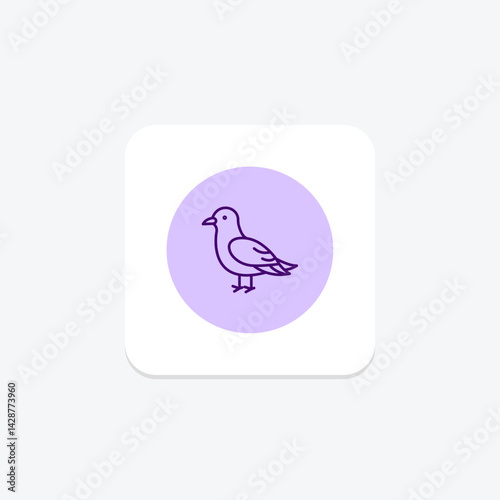 Kittiwake, vector, pixel perfect, illustrator file