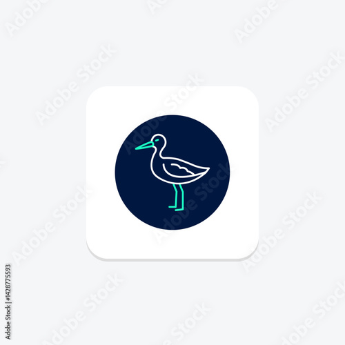Avocet, vector, pixel perfect, illustrator file