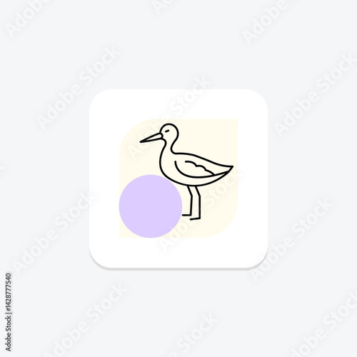 Avocet, vector, pixel perfect, illustrator file