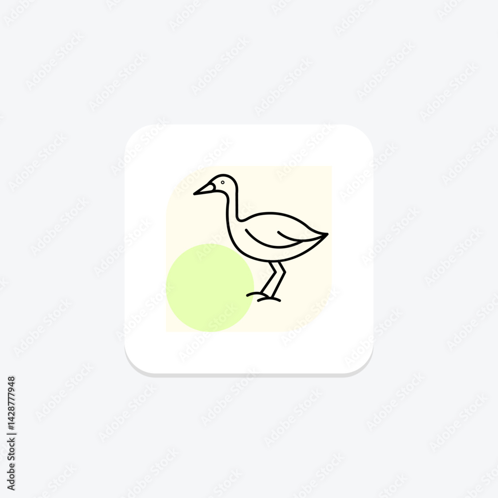 Lapwing, vector, pixel perfect, illustrator file Lapwing, vector, pixel perfect, illustrator file