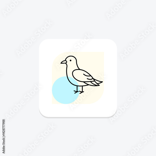 Kittiwake, vector, pixel perfect, illustrator file