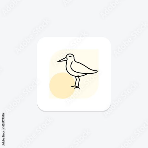 Oystercatcher, vector, pixel perfect, illustrator file