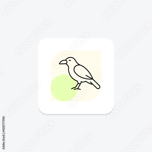 Chough, vector, pixel perfect, illustrator file