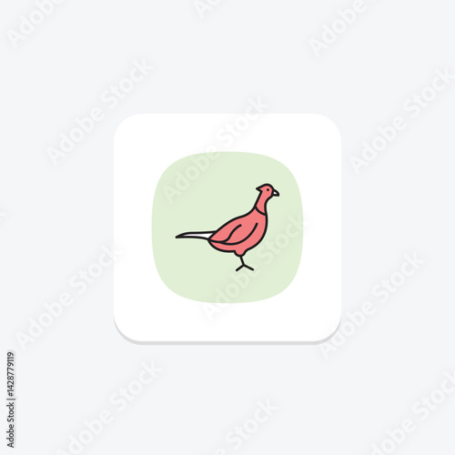 Pheasant, vector, pixel perfect, illustrator file