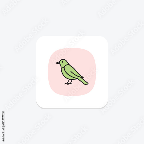Oriole, vector, pixel perfect, illustrator file